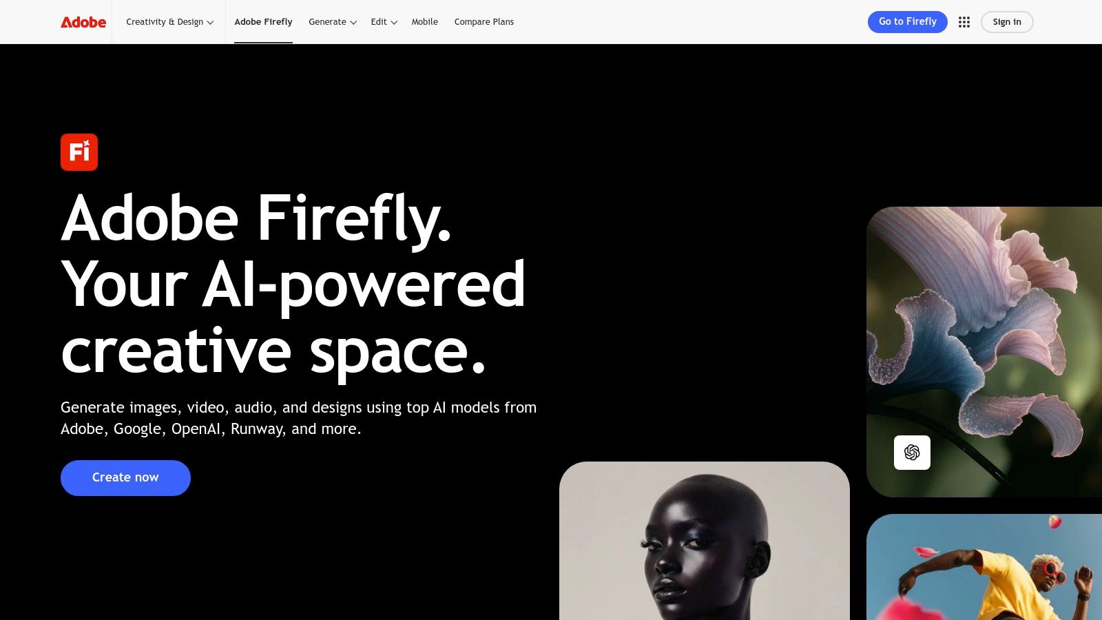 Seeddance AI
